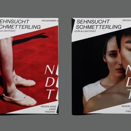 Visual Identity For Nederlands Dans Theater cover image