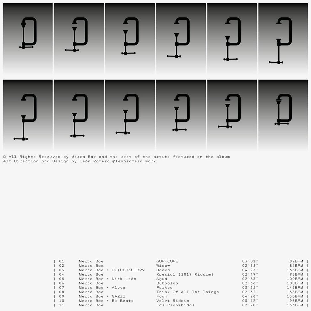 Experimental Visual Study For Merca Zip 2021