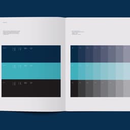 Brand Identity For A Business-class Airline cover image