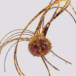 Season Campaign For Australian Chamber Orchestra cover image