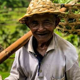 Brand Identity For Mergdata cover image