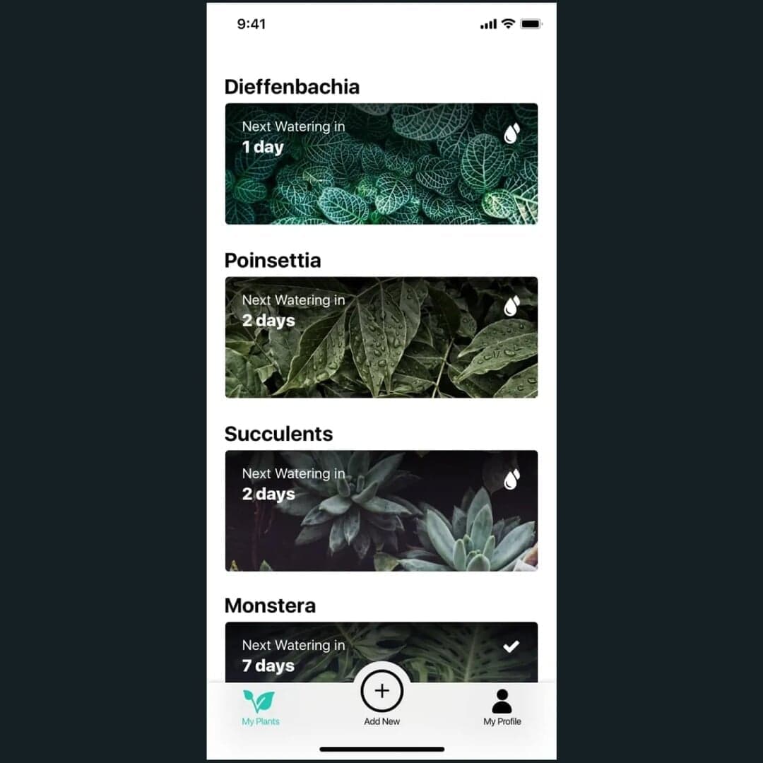 Mobile App Design For Watering Tracker