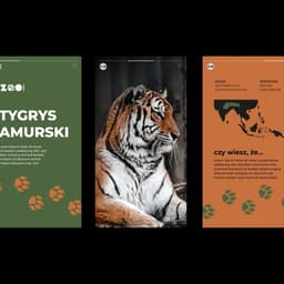 Brand Identity For Zoo Gdańsk cover image