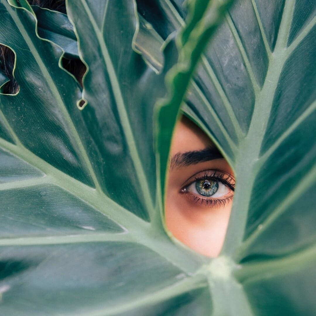 Brand Identity And Packaging For The Dial Spa