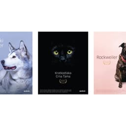 Photography Campaign For Njuškalo Online Marketplace cover image