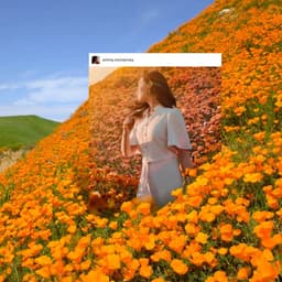 3d Animation For Deceuninck Thermofibra cover image