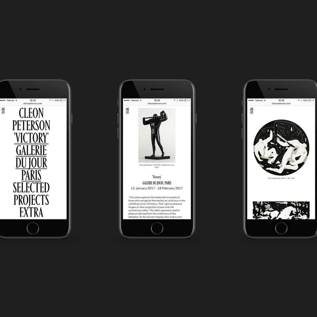 Website Design For L.a. Artist Cleon Peterson