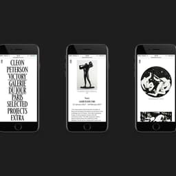 Website Design For L.a. Artist Cleon Peterson cover image