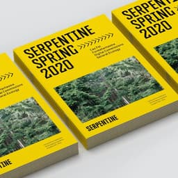 Digital First Brand Identity For Serpentine Galleries cover image