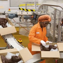 Art Direction And Campaign For Grace Jones' Hurricane Album cover image