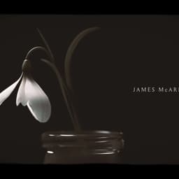 Title Sequence Design For Bbc Two's Life After Life cover image