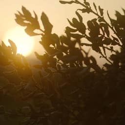 Brand Identity For Mas Des Infermières Estate cover image