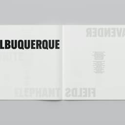 Album Campaign For Nick Cave & Warren Ellis' Carnage cover image