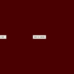 Brand Identity For Esther Rum cover image