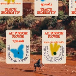 Naming And Branding For A Low-potency Cannabis Company cover image