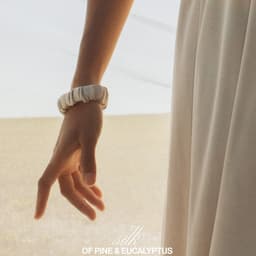 Rebranding For A Sustainable Silk Brand cover image