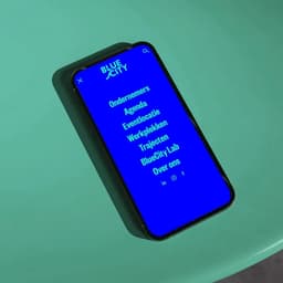 Brand Identity And Website Redesign For Bluecity cover image