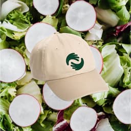 Visual Identity For Open Hand And Good Measure Meals cover image