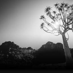 Naming And Brand Identity For An Eyewear Company cover image