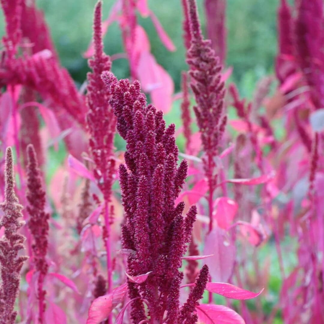 Brand Identity For A Luxury Apartment Community In Fort Lauderdale