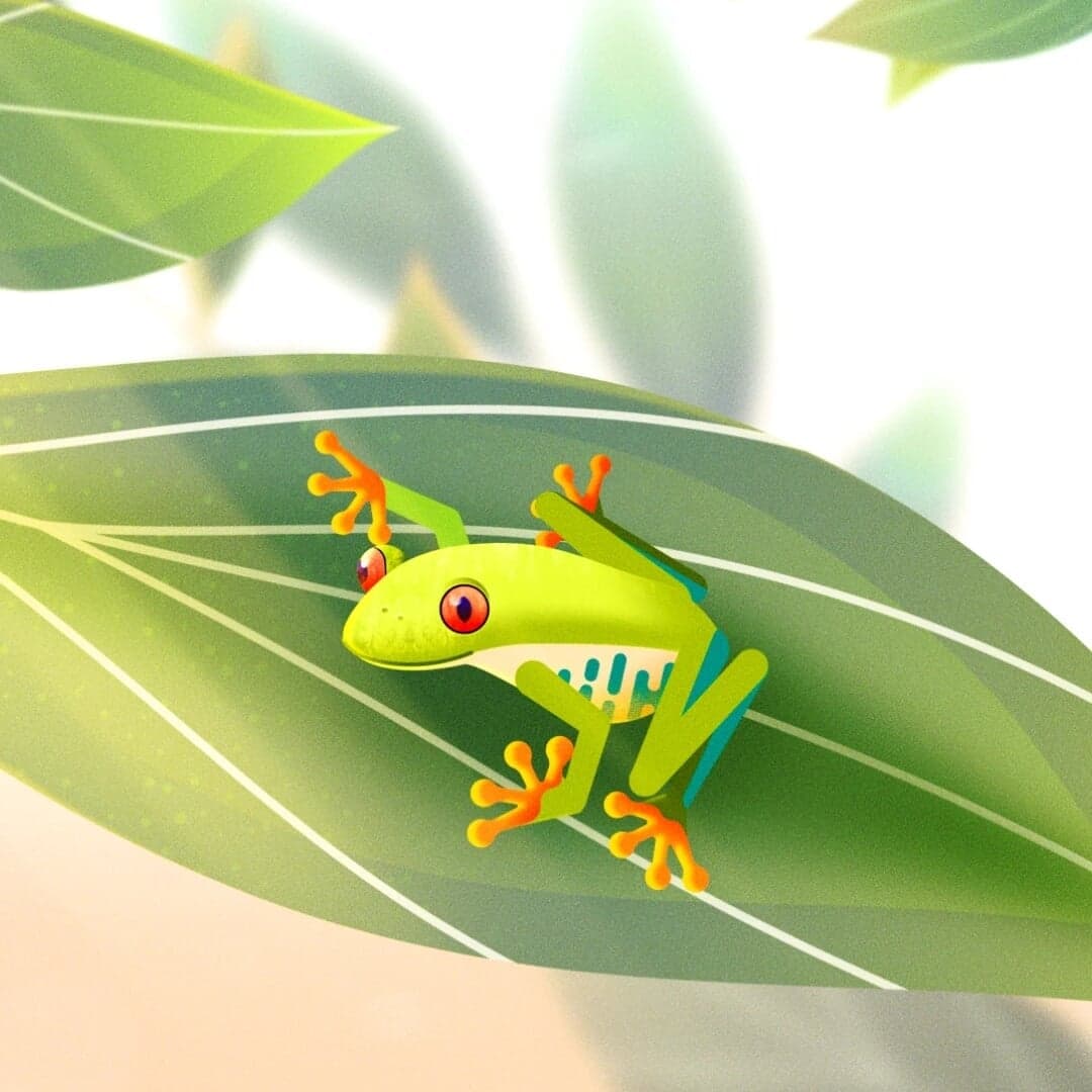 Animated Short Film For The Amazon Jungle