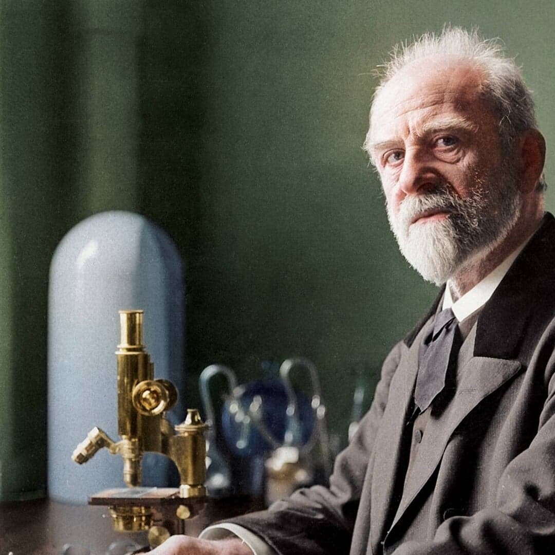 Website Redesign For Carlsberg