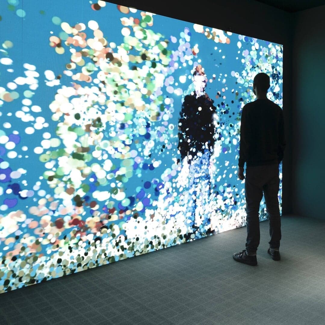 Immersive Installation And Digital Experience For Velux