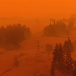 Sustainable Visual Identity For Reboot Sports Initiative cover image