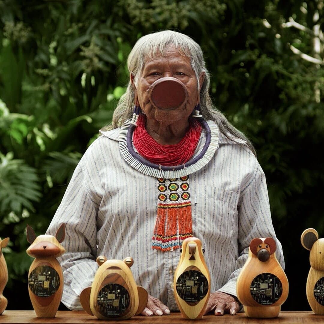 Awareness Campaign For Indigenous Guardianship At Cop26