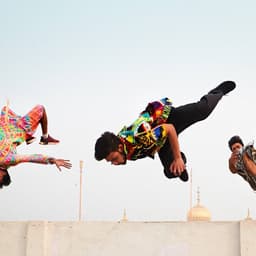 Website Redesign For Alfaparf Group cover image