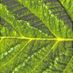 Visual Identity For Certhon cover image