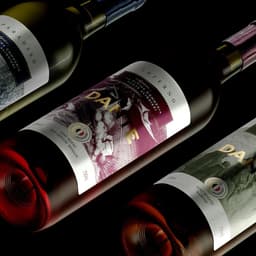 Visual Identity And Packaging For Namô Chocolateria cover image