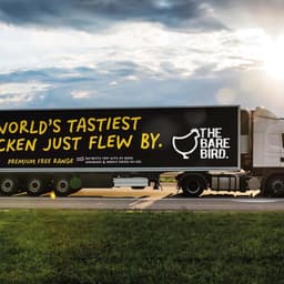 Brand Identity And Packaging For The Bare Bird cover image