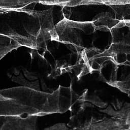 Brand Identity For Lucide Cbd Oils cover image