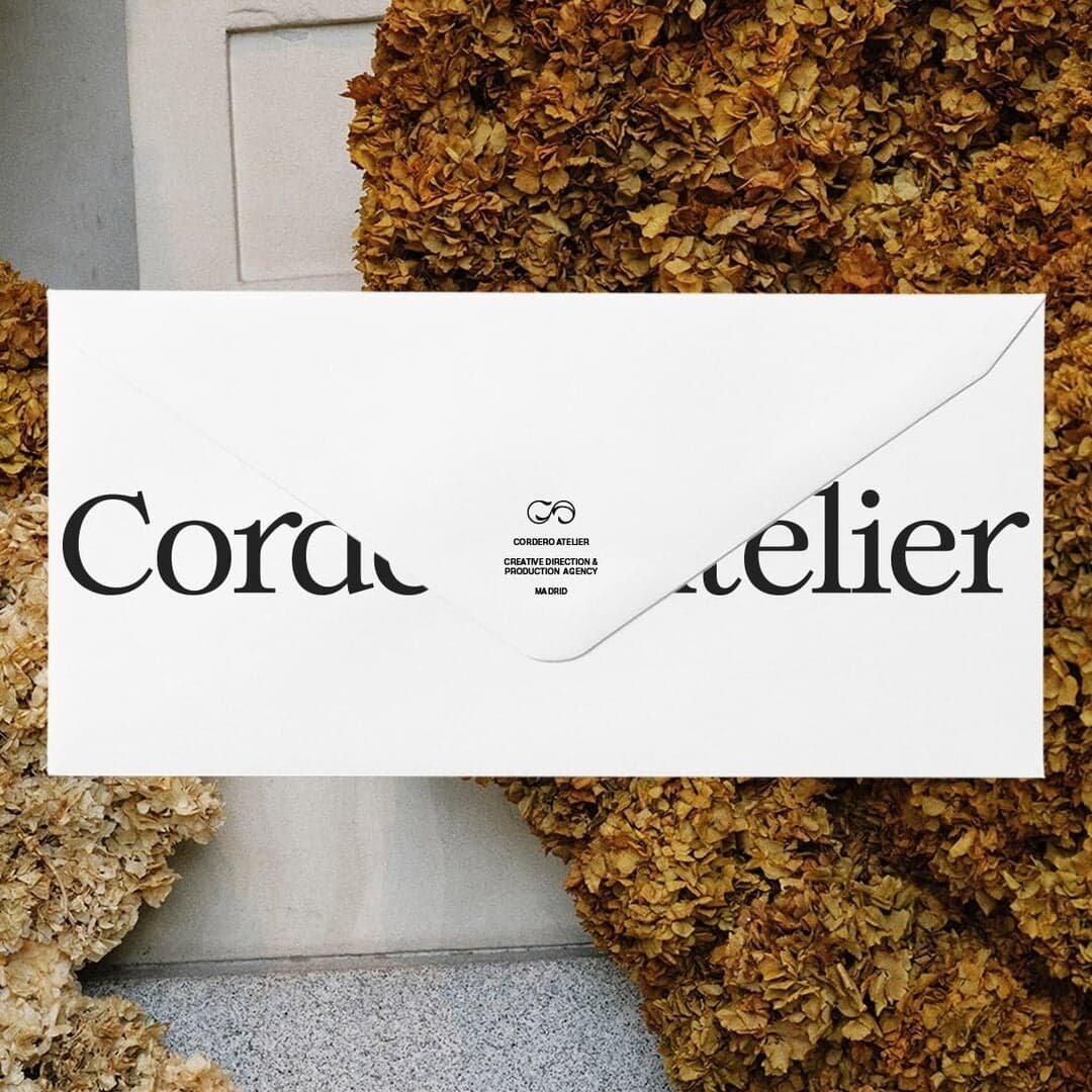 Brand Identity And Website Design For Ananas Ananas