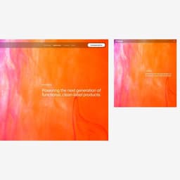 Website Design For Food Technology Innovator Infusd cover image