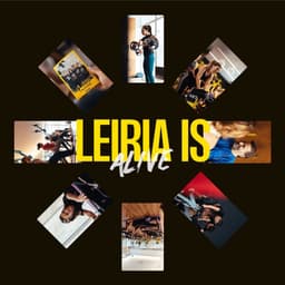 Website And Brand Refresh For Phive Fitness Clubs cover image