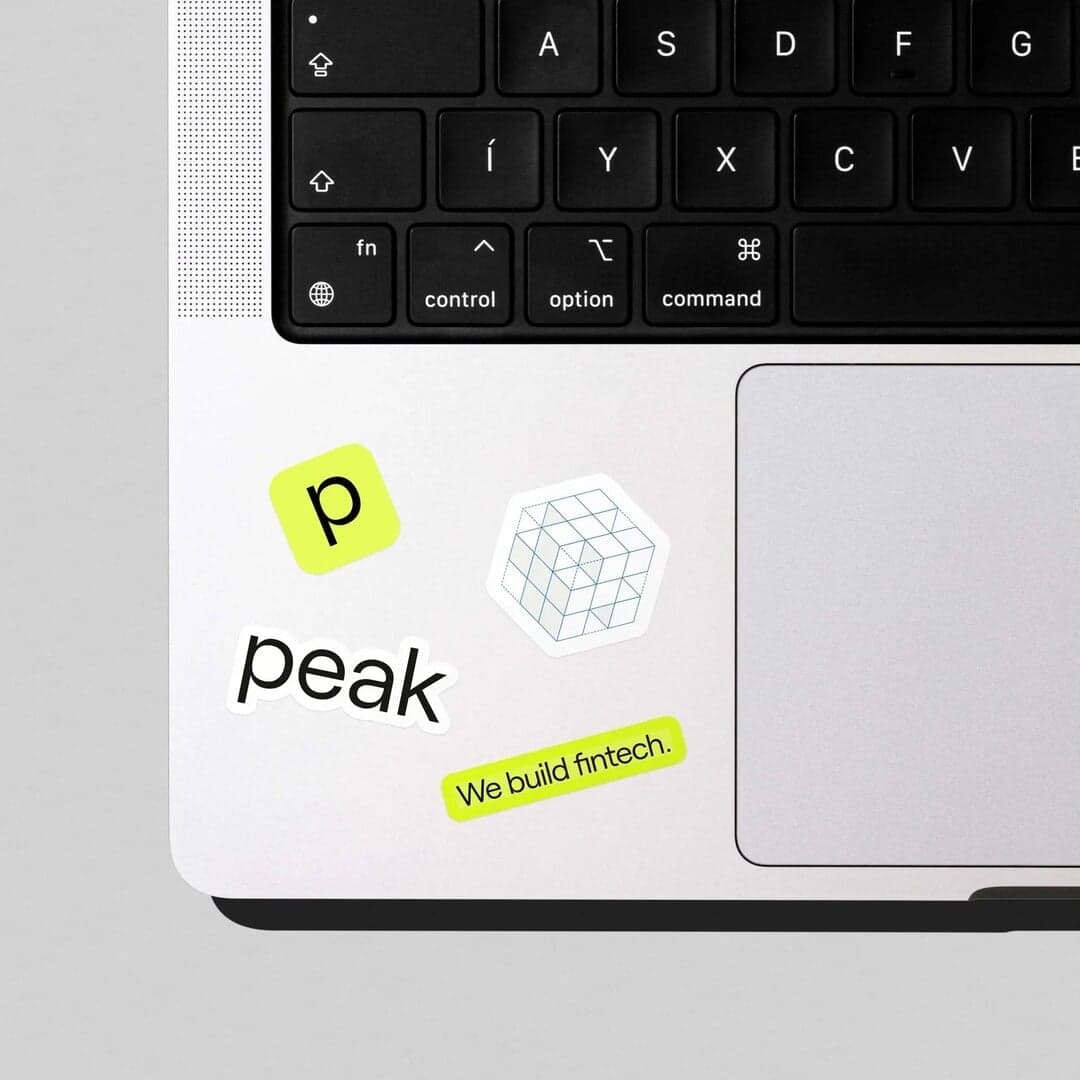 Rebranding And Digital System For Fintech Leader Peak