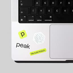 Rebranding And Digital System For Fintech Leader Peak cover image