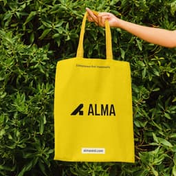 Branding And Website Development For Alma Vc cover image