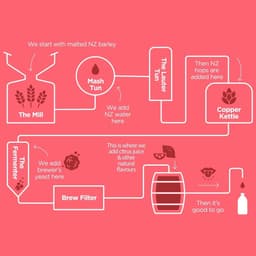 Non-alcoholic Beverage Branding For Heineken cover image