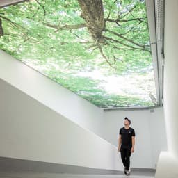 Brand Identity For An Urban Mobility Company cover image