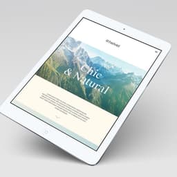 Brand Identity And Digital Experience For Helvet cover image