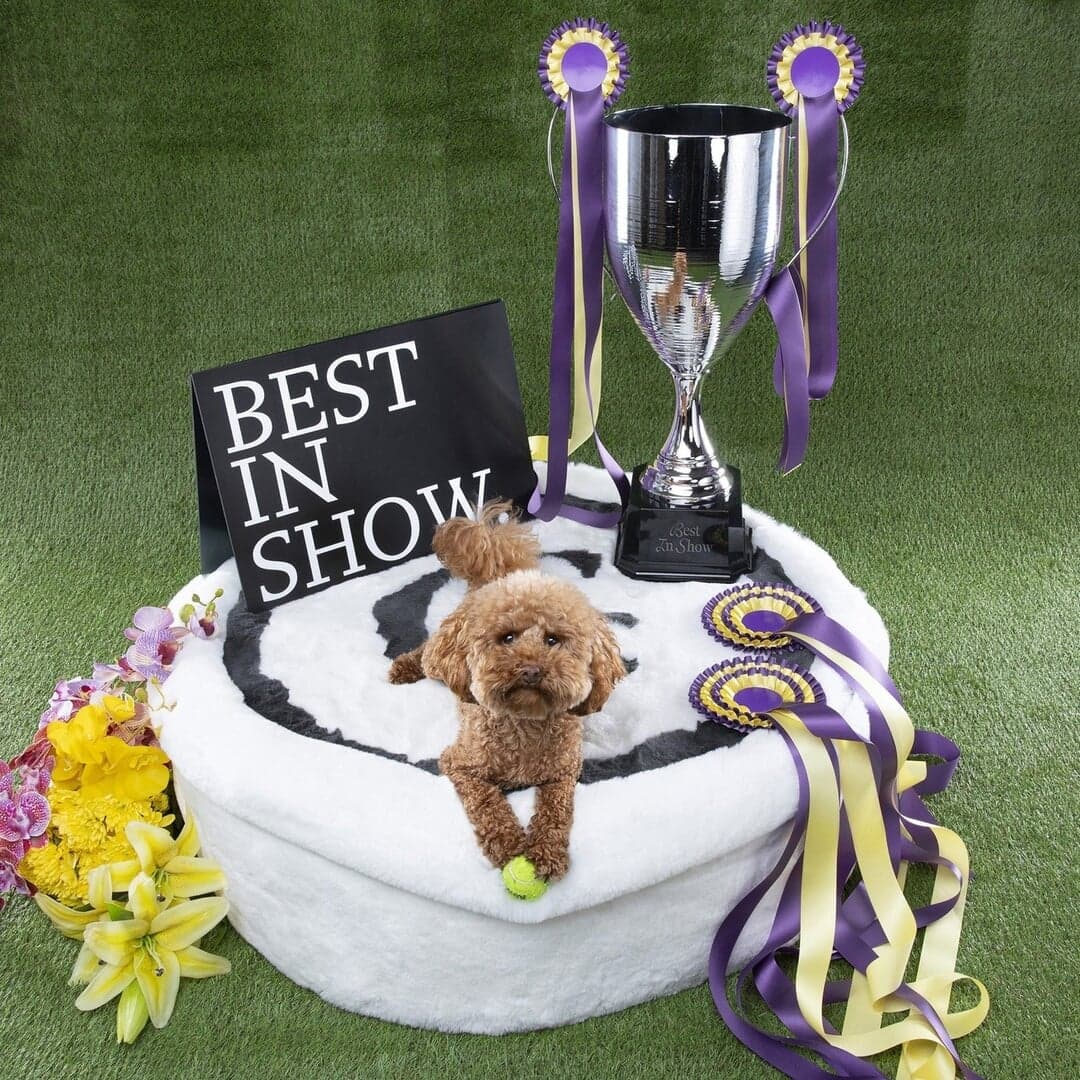 Typeface Design For Gramercy Greek