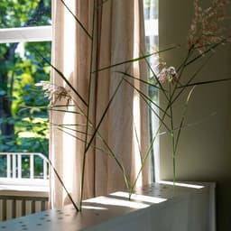 Visual Identity For Emmer Restaurant cover image