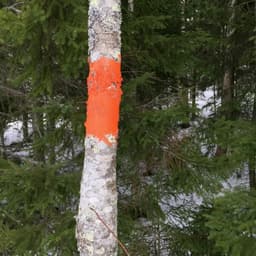 Visual Identity For Crescent Mountain Bike Range cover image