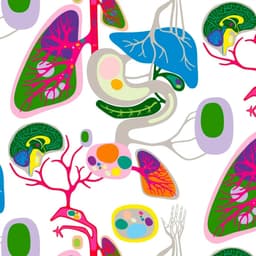 Brand Identity And Retail Revamp For Hemtex cover image