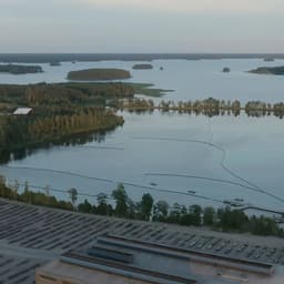 Naming For Alleima Rebrand cover image