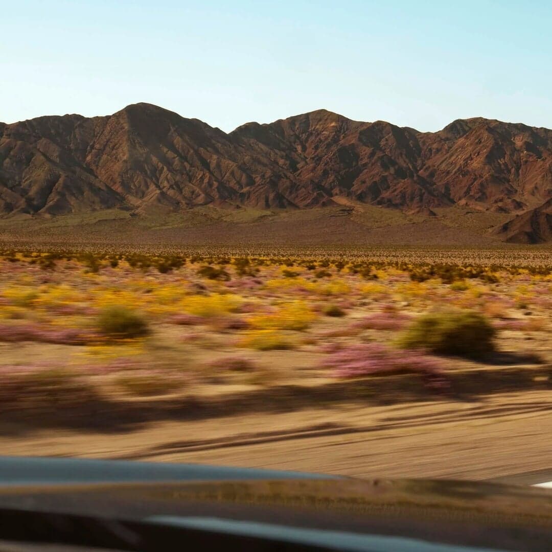 Photography And Film For International Trucks