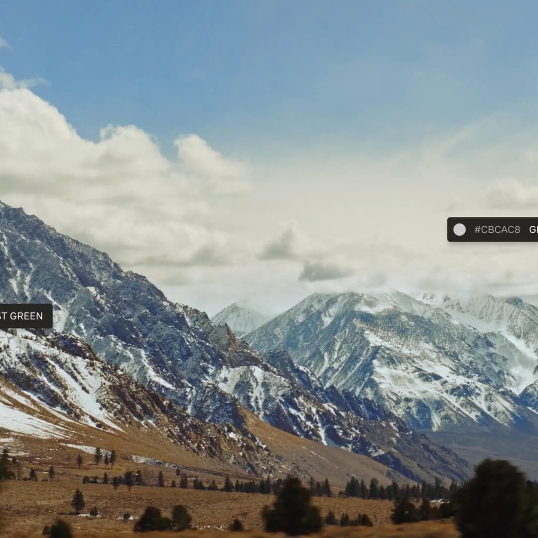 Digital Ecosystem Design For International